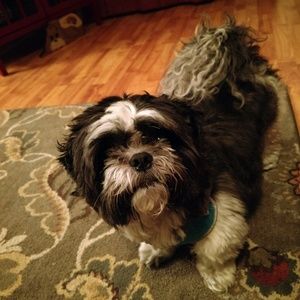 Meet your Posher, Lori